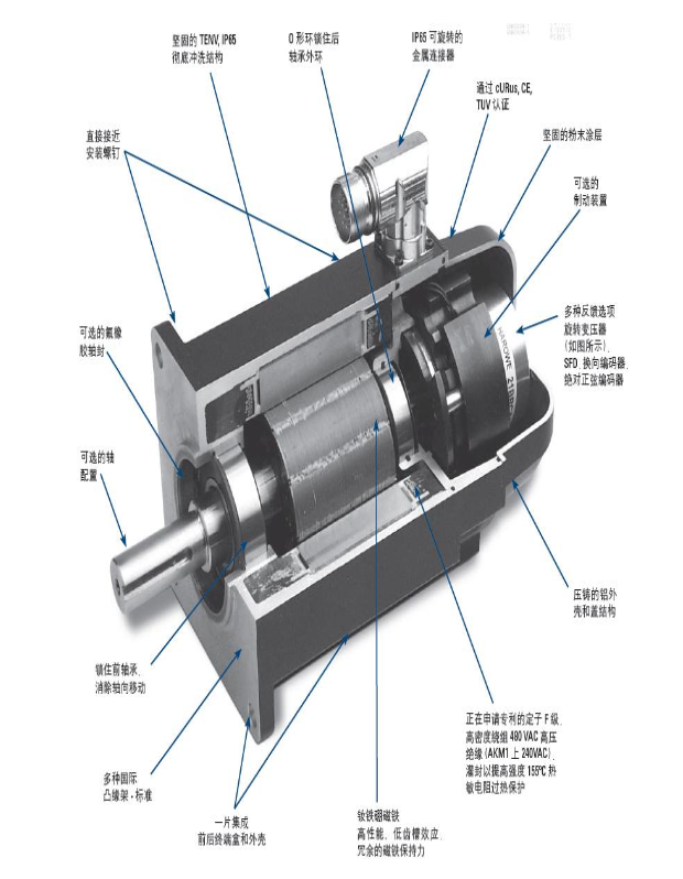 伺服电机内部结构图